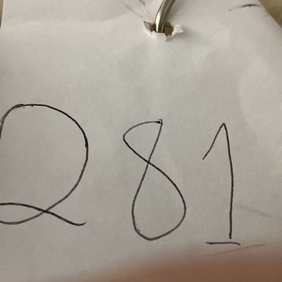 Long Real Coyote Fur Coat with Huge Collar - Picture 9 of 10